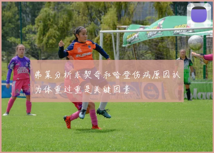 弗莱分析东契奇和哈登伤病原因认为体重过重是关键因素