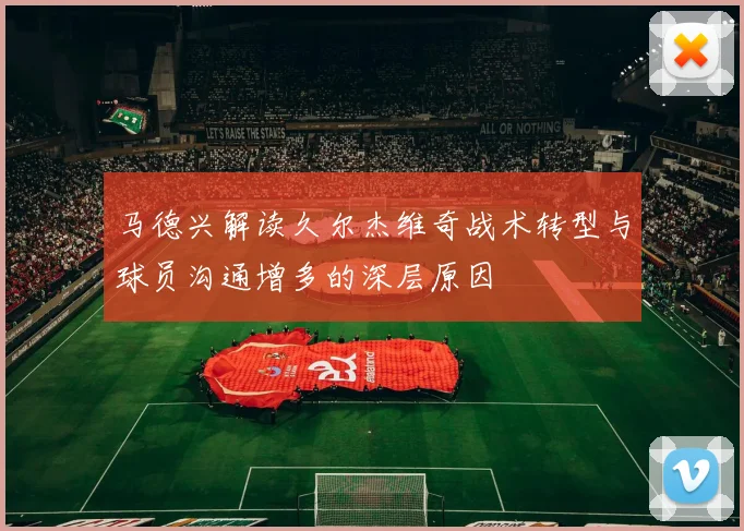 马德兴解读久尔杰维奇战术转型与球员沟通增多的深层原因